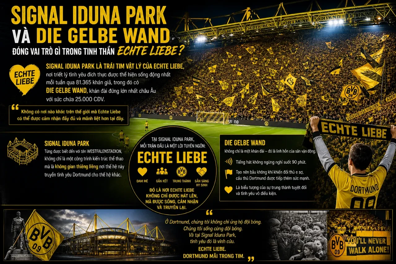 Echte Liebe Là Gì? Khám Phá Bản Sắc & Tinh Thần Tình Yêu Đích Thực Làm Nên Linh Hồn Borussia Dortmund