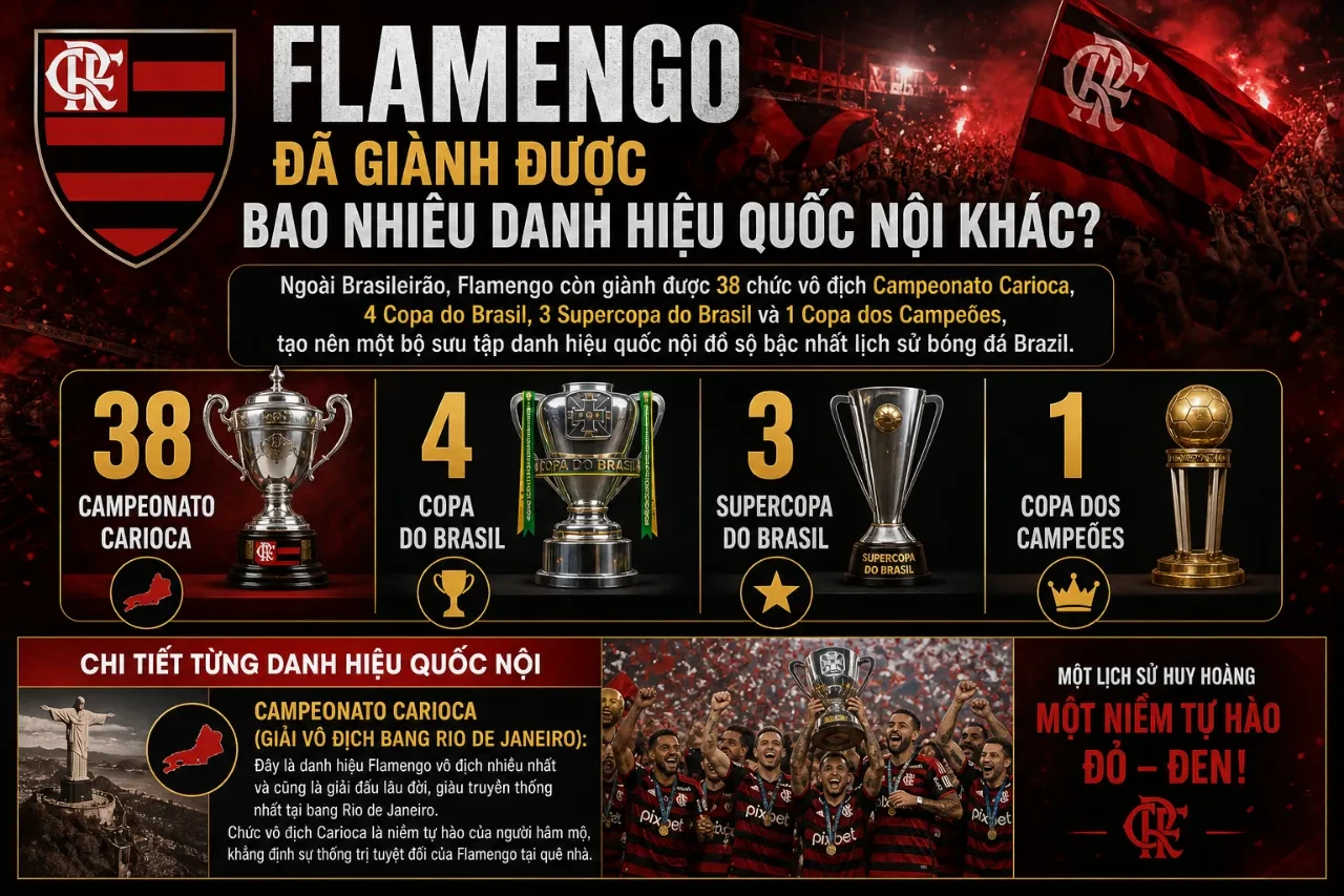 Flamengo Đã Giành Được Bao Nhiêu Danh Hiệu? Toàn Bộ Chức Vô Địch Quốc Nội & Quốc Tế Trong Lịch Sử